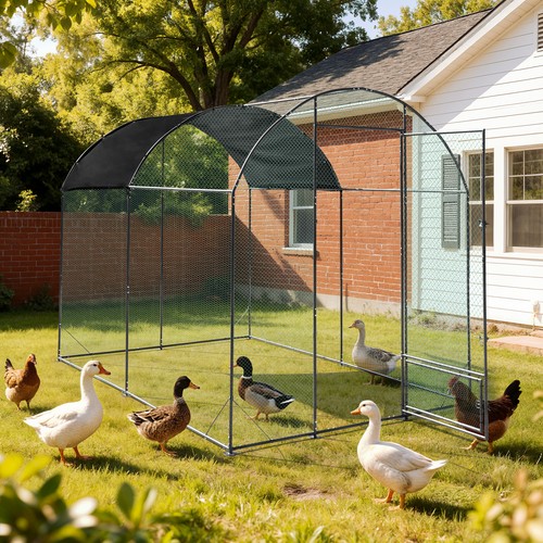 Large walk metal chicken - large, walk-in