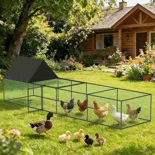 Large walk chicken coop - walk, in