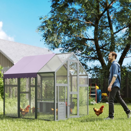 Large chicken run - large, in