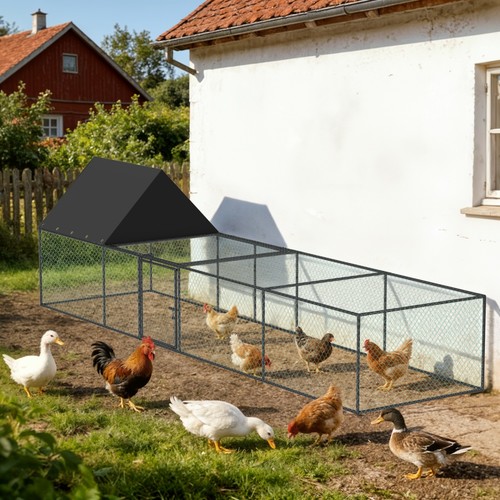 Chicken run cage - walk, coop