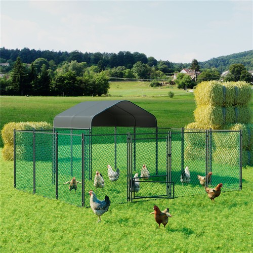 Heavy duty xxl chicken - duty, run