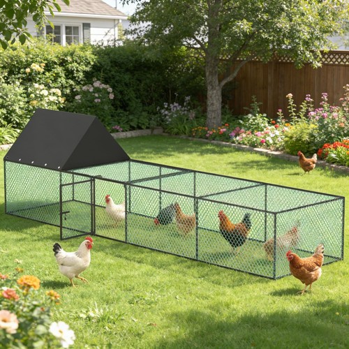 Chicken coop run walk - coop,