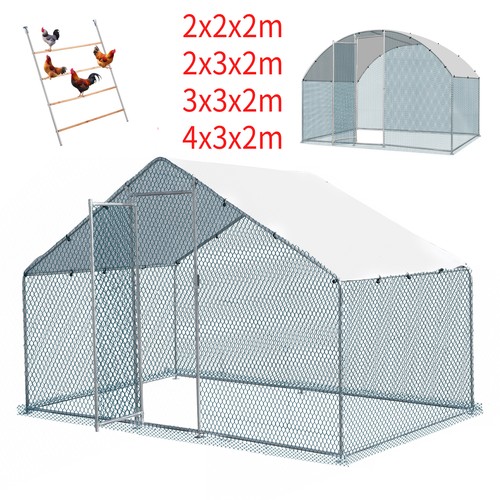 Walk chicken run - walk, in