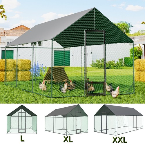 Xxl large walk chicken - large,