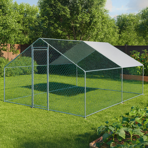 4x3m walk chicken - walk,