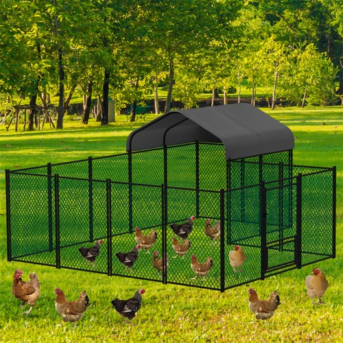 Walk chicken run - chicken, coop
