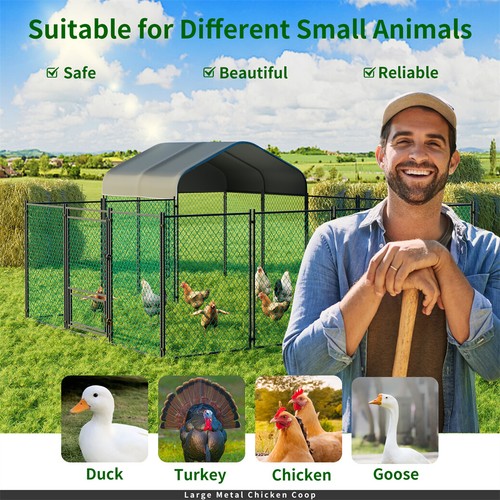 Large metal chicken - chicken, coop