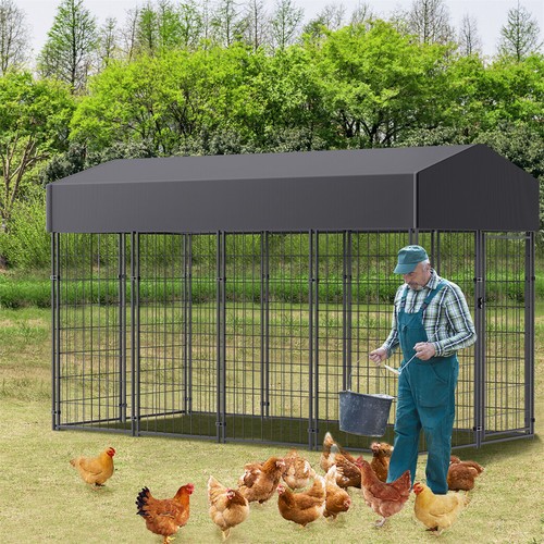 Xxl large chicken run - large,