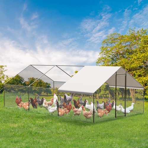 Walk chicken coop - chicken,