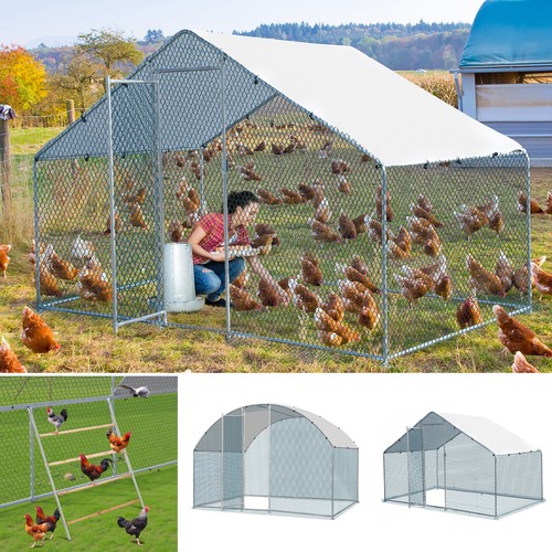 Walk chicken run galvanized - run,