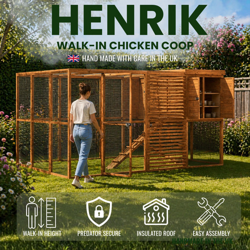 Henrik walk chicken - walk-in,