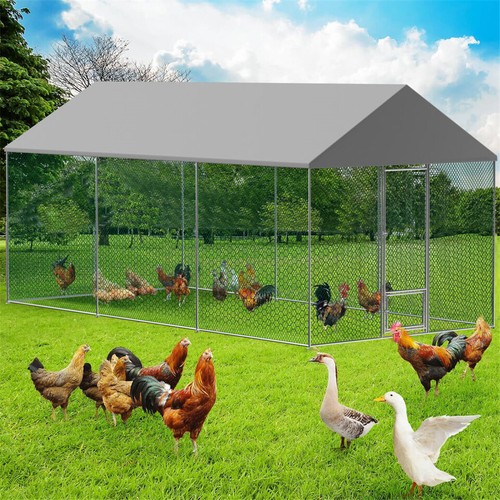 Walk chicken coop cage - chicken,