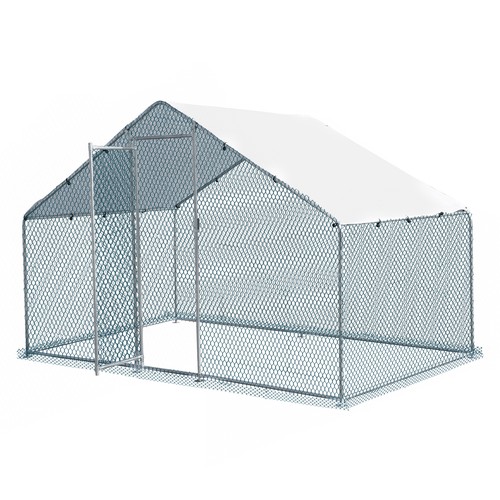 2x2m walk chicken - walk,