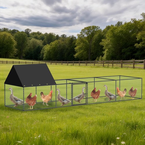 Xxl metal chicken - 3.2m,