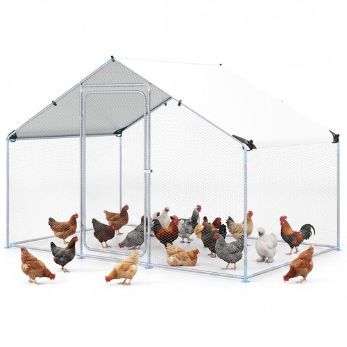 Large metal chicken - chicken, coop
