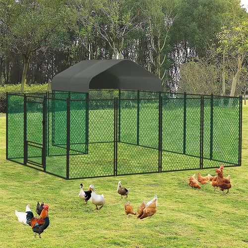 Xxl chicken run cage walk - chicken,