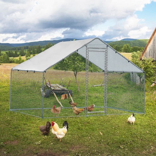 5x6 2ft metal - 6.5x6.5x6.2ft, chicken