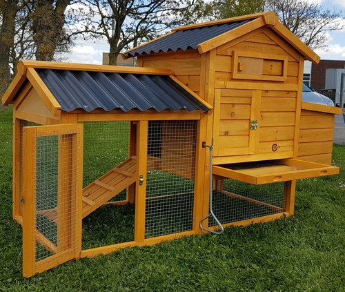 Chicken coop run hen - chicken,