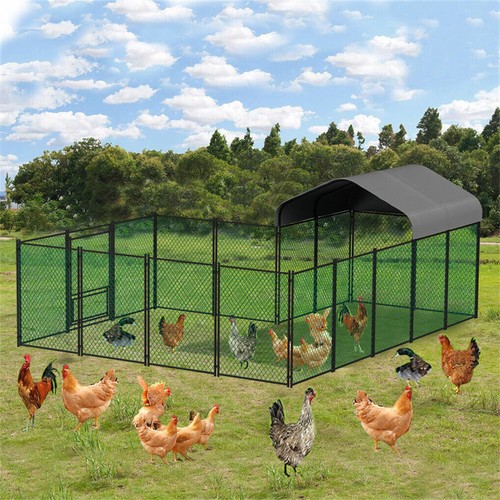 Xxl large metal chicken - large,