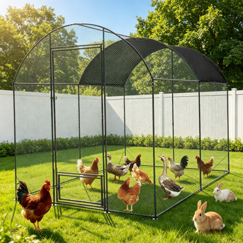 Large chicken coop - chicken,