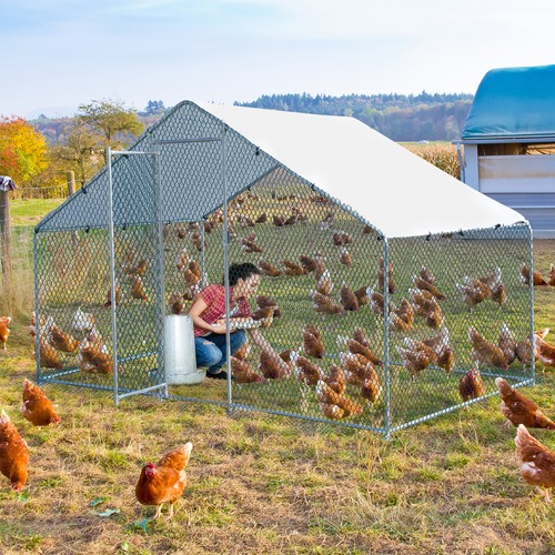 Metal chicken run cage walk - run,