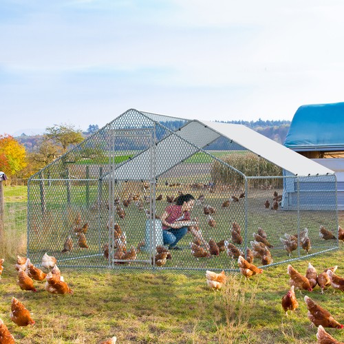 Large metal walk chicken - walk-in,