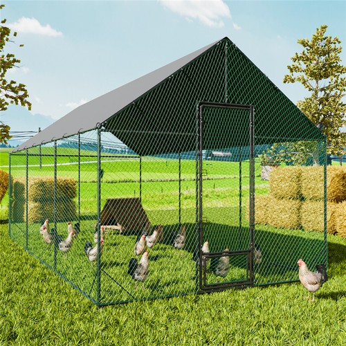 Xxl metal chicken run - chicken,
