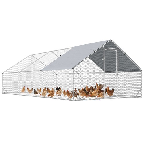 Pawhut walk chicken - walk, run