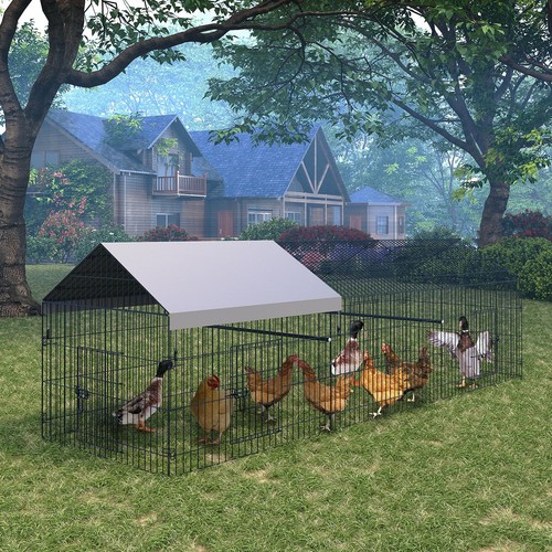 Walk chicken run - chicken,