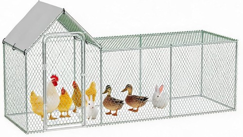 10x5ft walk chicken - walk, in