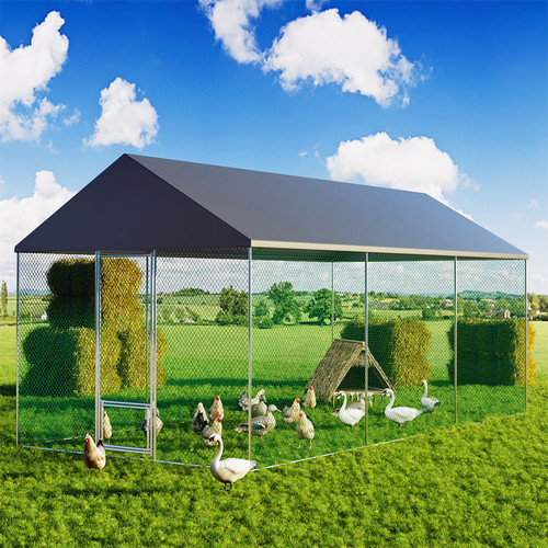 Walk chicken run galvanized - chicken,