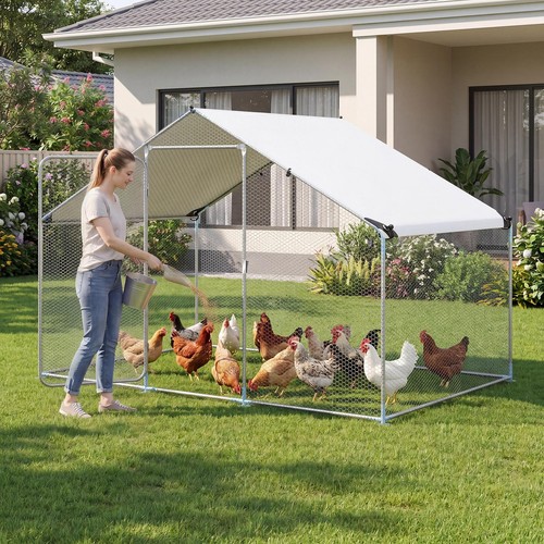 Large metal chicken - large, x
