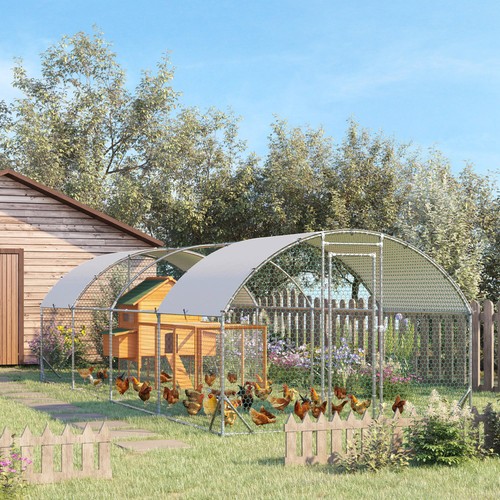 Walk chicken run - walk,